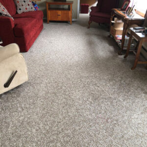 High-traffic tile cleaning services by Beal’s Carpet Care - Tenants Harbor, Camden, Rockland, and Beyond